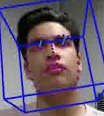 Exploiting Group Structures to Infer Social Interactions From Videos