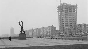 Afbeeldingsresultaat voor dineke van es verwoeste steden