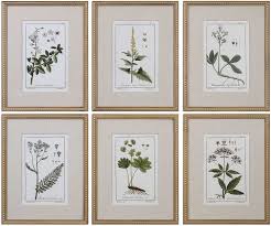 So many floral and botanical prints can be found for free online. Amazon Com Uttermost 33651 Green Floral Botanical Study Framed Prints 6 Piece Wall Art Set Posters Prints