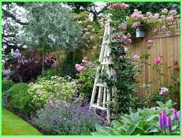 50 Garden Portfolio Of Janine Crimmins Garden Design Based In Cheshire Winner Of 4 Rhs Go Small Cottage Garden Ideas Cottage Garden Design Garden Design