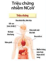 Hiện tại, bệnh nhân đang được cách ly, điều trị tại bệnh viện hoàn mỹ. Cach Phan Biá»‡t Bá»‡nh Cum Mua Tranh Nháº§m Láº«n Vá»›i Dá»‹ch Viem Phá»•i Cáº¥p