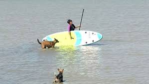 Epingle Sur Stand Up Paddle