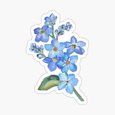 Check spelling or type a new query. Forget Me Nots Gifts Merchandise Redbubble