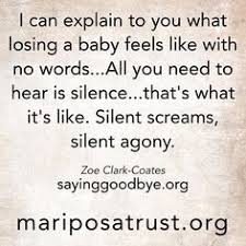 Infertility, miscarriage and pregnancy loss. Twins I Love You Lil Beans Rip