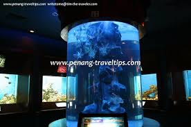 Pejabat perikanan negeri pulau pinang gelugor. Penang Aquarium Akuarium Tunku Abdul Rahman Batu Maung