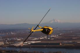 Image result for Yellow 2016 Fleet