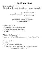 Lipid Metabolism Remember Fats Triacylglycerols Major Form Of Energy Storage In Animals Your Energy Reserves 0 5 Carbs Metabolism Ketone Bodies Ketones