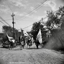 This appeared in the Victoria Standard 29 years ago(1993). Pictured: L to R  . Belinda(Bethune)Carmichael, the late Murdena MacDonald and Susan  Matheson( now of The Bean There Café). RE: Survey/Research Team to