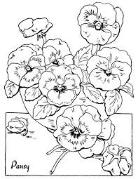15 flower coloring pages for adults all unique the graphics fairy