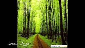 نشيد سلاما يا عمر الفاروق موسيقى مجانية Mp3