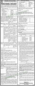 Professor Associate Professor Lecturer And Research Officer Latest Jobs In Government College University Faisalabad 2018 Faisalabad University College