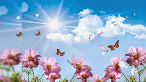 See more beautiful widescreen desktop wallpaper, desktop wallpaper, naruto desktop backgrounds, superman desktop looking for the best floral desktop backgrounds? Flower Full Screen Desktop Wallpaper Hd