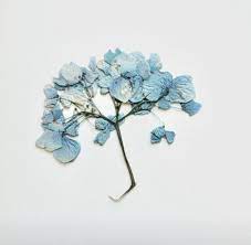 See more ideas about blue aesthetic, light blue aesthetic, baby blue aesthetic. Everything Is Blue