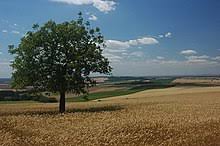 Landschaft in der östliche slowakei. Slowakei Wikipedia