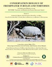 Image result for Grewia sulcata