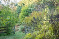 Naturist pool profile walk nudist couples. Nudism And Nudity The New York Times