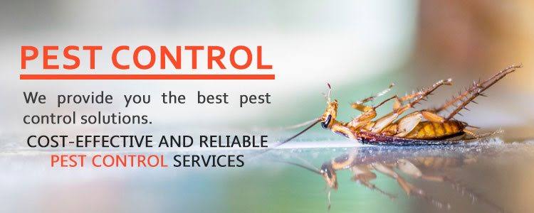 Image result for pest control"