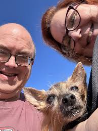 Does anyone know what they are building next to uncle Giuseppe's?