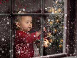 The year of the perfect christmas tree. Best Christmas Tree Shopping In Dorset Family Photographer Dorset