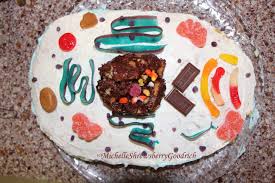 Maybe you would like to learn more about one of these? Edible Cell Applie S Place