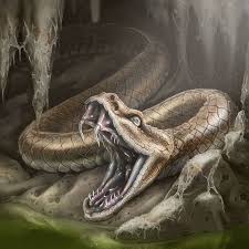 Pin On Rpg Snakes Serpents