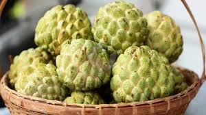 Maybe you would like to learn more about one of these? Manfaat Buah Srikaya Bagi Kesehatan Manusia Faktualnews Co