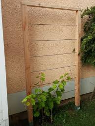 Grapevine Grape Grove Heimwerken 1 2 Do Com Your Home Diygardeneasy Live Grape Vines Garden Design Vegetable Garden Design