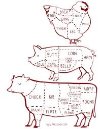 Cow Pig Chicken Butcher Diagram Chart Illustration