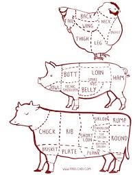 cow pig chicken butcher diagram chart illustration