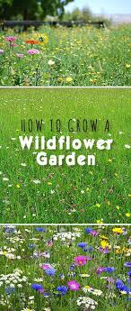 Pin On Tgg Diy Garden Ideas Projects