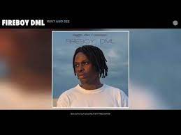 You must complete many challenges to get these brave heroes to the exit safely. Wait And See Paroles Fireboy Dml Greatsong