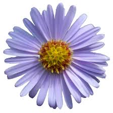 The need for senior home care services in illinois, chicago, aurora, rockford, joliet. Compassion Home Care Of Illinois Llc Home Facebook