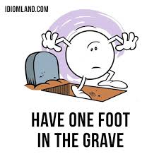 idiom land