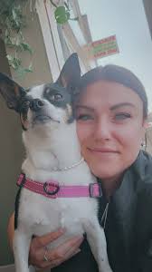 I have 2 bags of shredded paper (no staples, sticky or card) if anyone  wants them? Stubbington ark have told me they have too much. Collection in  Gosport Town