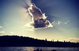 Resultado de imagen para cuando muere un perrito