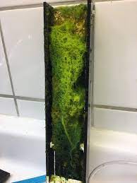 Check spelling or type a new query. Algae Scrubber In Nano Biological Filtration Nano Reef Community