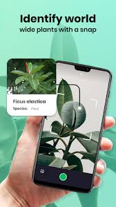 These apps can reduce the time you might have spent on looking for the right flower for up to a couple of minutes. Updated Scan Plant Id Plant Identification Free Tree App Pc Android App Mod Download 2021