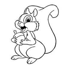 Squirrel coloring page_adult created date: Top 25 Free Printable Squirrel Coloring Pages Online