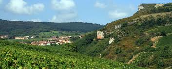 Veran matić (born 1962), the chief executive officer of b92. Saint Veran Bourgogne Appellation Thienpont Wine