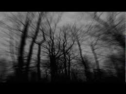 Image result for black metal woods