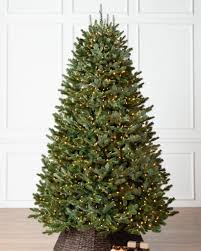Maybe you would like to learn more about one of these? Most Popular Christmas Trees Of All Time Balsam Hill Blog