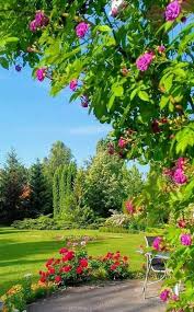 albablkshe adli kullanicinin صور خرافية panosundaki pin golge bahce doga fotografciligi arka bahce peyzaj duzenlemesi