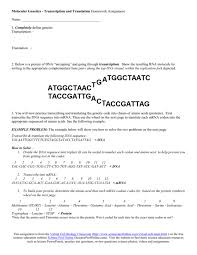 Regulation of gene expression and cell specialization. Transcription Translation Homework Activity
