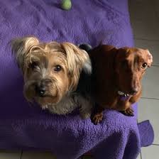 Most bathroom canisters are also airtight so as to ensure that the materials inside remain fresh. Jacky Vilaro Jackyvilaro Profile Pinterest