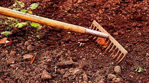 If the soil ph is over 7, the soil ph is restricting the ability of the plant to get iron from the soil. Garden Soil Colors And What They Mean Homestead On The Range