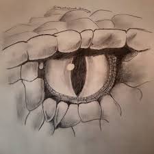 Check Out My Art On Instagram Theartnetwork Sharanya Snake Eye Snake Drawing Snake Art Dragon Eye Drawing