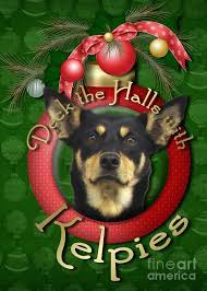 Maybe you would like to learn more about one of these? Christmas Deck The Halls With Kelpies Digital Art By Renae Crevalle