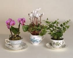 Besides good quality brands, you'll also find plenty of human body flower vase statue, indoor home office desktop planter plant pot, cute chic small accent pieces sculpture decors. Pin By Mary Heise On Plant Life Teacup Flowers Plants Teacup Gardens