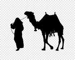 They can shut their nostrils during sand storms. Camel Silhouette Camel Mammal Animals Png Pngegg