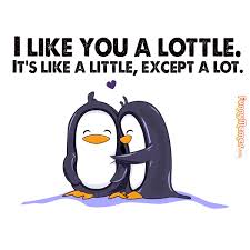 Funnymemes Com Animal Memes I Like You A Lottle Lottle Penguin Love Love You